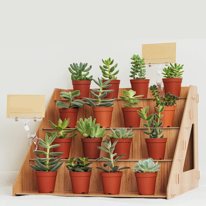 Wooden Display Rack, Farm Mark - огляд і ціна Pop Display Shelf